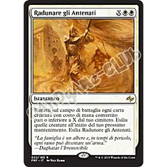 022 / 185 Radunare gli Antenati rara (IT)