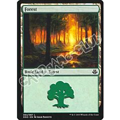 64 / 67 Forest comune (EN) -NEAR MINT-