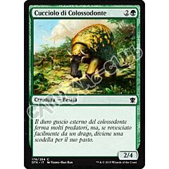Draghi di Tarkir 178 / 264 Cucciolo di Colossodonte comune (IT) -NEAR MINT-