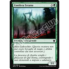 Draghi di Tarkir 179 / 264 Conifera Errante comune (IT) -NEAR MINT-
