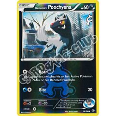 016 / 34 Poochyena comune foil reverse (EN) -NEAR MINT-