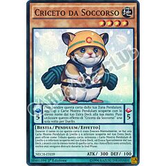 NECH-IT039 Criceto da Soccorso super rara 1a edizione (IT)  -GOOD-