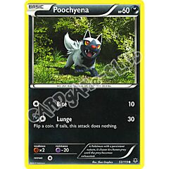 053 / 119 Poochyena comune normale (EN)