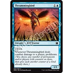 065 / 249 Thrummingbird comune (EN) -NEAR MINT-