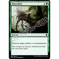 193 / 264 Naturalize comune (EN) -NEAR MINT-