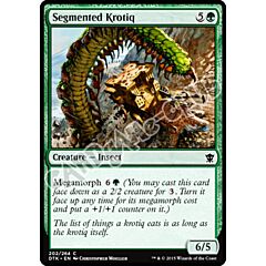 202 / 264 Segmented Krotiq comune (EN) -NEAR MINT-