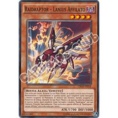 CROS-IT016 Raidraptor-Lanius Affilato comune Edizione Advance (IT) -NEAR MINT-