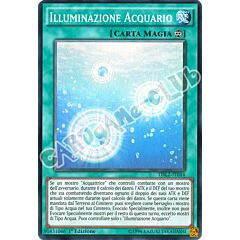 DRL2-IT044 Illuminazione Acquario super rara 1a edizione (IT) -NEAR MINT-