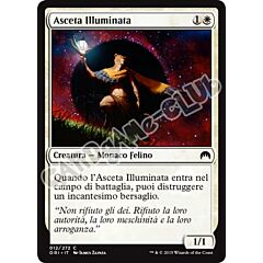 012 / 272 Asceta Illuminata comune (IT) -NEAR MINT-