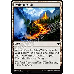 248 / 264 Evolving Wilds comune (EN) -NEAR MINT-