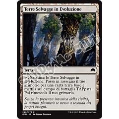246 / 272 Terre Selvagge in Evoluzione comune (IT) -NEAR MINT-