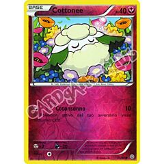 55 / 98 Cottonee comune foil reverse (IT) -NEAR MINT-