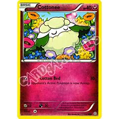 55 / 98 Cottonee comune normale (EN) -NEAR MINT-