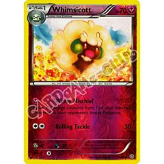 56 / 98 Whimsicott non comune foil reverse (EN) -NEAR MINT-