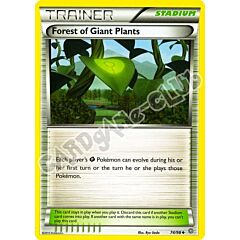 74 / 98 Forest of Giant Plants non comune normale (EN) -NEAR MINT-