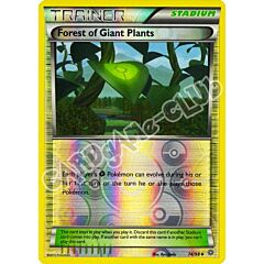74 / 98 Forest of Giant Plants non comune foil reverse (EN) -NEAR MINT-