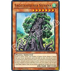 MP15-IT016 Saggiasequoia Silvana ultra rara 1a Edizione (IT) -NEAR MINT-
