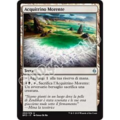 230 / 274 Acquitrino Morente non comune (IT) -NEAR MINT-