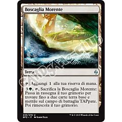 233 / 274 Boscaglia Morente non comune (IT) -NEAR MINT-