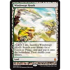 020 / 045 Windswept Heath rara mitica foil (EN) -NEAR MINT-