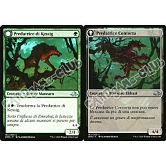 163 / 205 Predatrice di Kessig non comune normale (IT) -NEAR MINT-