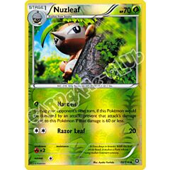 010 / 114 Nuzleaf non comune foil reverse (EN) -NEAR MINT-