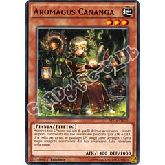 MP16-IT070 Aromagus Cananga comune 1a Edizione (IT) -NEAR MINT-