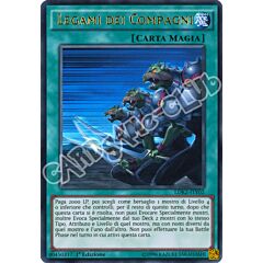 LDK2-ITY02 Legami dei Compagni ultra rara 1a Edizione (IT) -NEAR MINT-