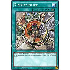 SDKS-IT025 Rimpicciolire comune 1a edizione (IT) -NEAR MINT-
