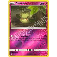 090 / 145 Cottonee comune foil reverse (IT) -NEAR MINT-
