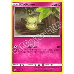 090 / 145 Cottonee comune normale (IT) -NEAR MINT-