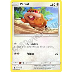 107 / 145 Patrat comune normale (IT) -NEAR MINT-