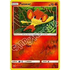 022 / 147 Pansear comune foil reverse (EN) -NEAR MINT-