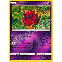 056 / 147 Venipede comune foil reverse (EN) -NEAR MINT-