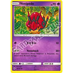 056 / 147 Venipede comune normale (EN) -NEAR MINT-