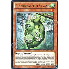 LVAL-IT015 Custodibaccelli Silvano rara Unlimited (IT) -NEAR MINT-