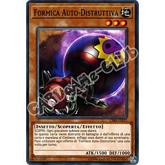 CIBR-IT035 Formica Auto-Distruttiva comune unlimited (IT) -NEAR MINT-