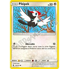 163 / 214 Pikipek comune normale (IT) -NEAR MINT-