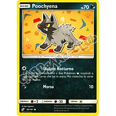 086 / 181 Poochyena comune normale (IT) -NEAR MINT-