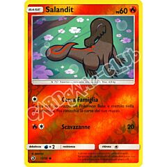 13 / 70 Salandit comune foil reverse (IT) -NEAR MINT-