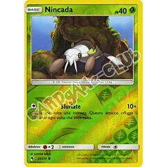 029 / 214 Nincada comune reverse (IT) -NEAR MINT-