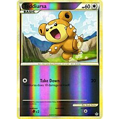 65 / 95 Teddiursa comune foil reverse (EN) -NEAR MINT-