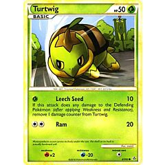 67 / 95 Turtwig comune (EN) -NEAR MINT-