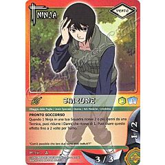 NI-246 Shizune comune -NEAR MINT-