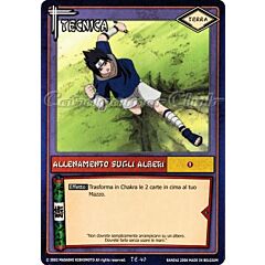 TE40 Allenamento sugli alberi comune -NEAR MINT-