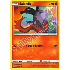 033 / 236 Salandit comune normale (IT) -NEAR MINT-