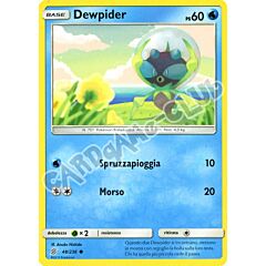 048 / 236 Dewpider comune normale (IT) -NEAR MINT-