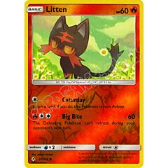 027 / 214 Litten comune foil reverse (EN) -NEAR MINT-