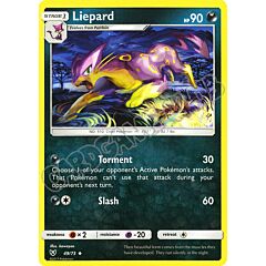 49 / 73 Liepard non comune normale (EN) -NEAR MINT-