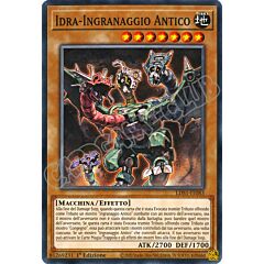LDS1-IT083 Idra-Ingranaggio Antico comune 1a Edizione (IT) -NEAR MINT-